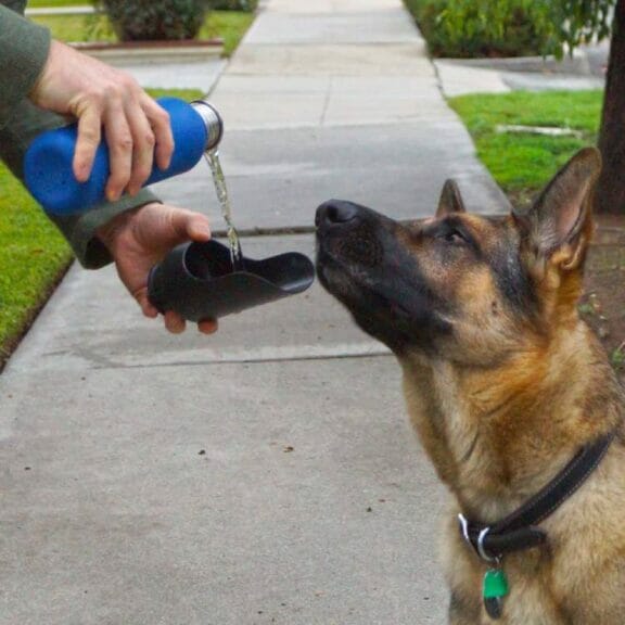 The H2O4K9 Dog Water Bottle is a smart and portable pet gadget that every dog parent