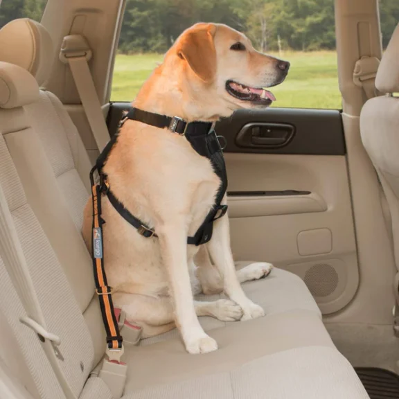 Kurgo Seatbelt Tether is a perfect traveling gadget for dogs