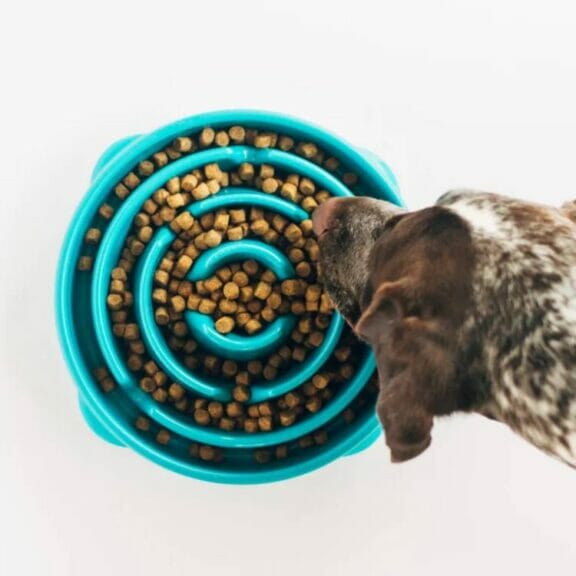 The Outward Hound Slow Feeder is one of the best smart dog gadgets