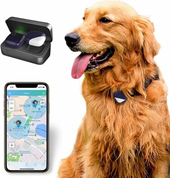 The PetFon GPS Tracker is an amazing pet gadget for dogs safty