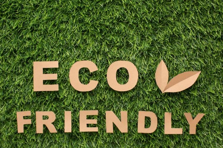 Eco-friendly Lifestyle